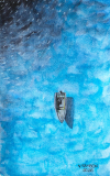 Mer bleue